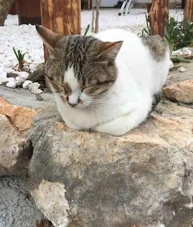 Patara Plaji Ve Patara Antik Kentin Yaninda Hotel Kaş
