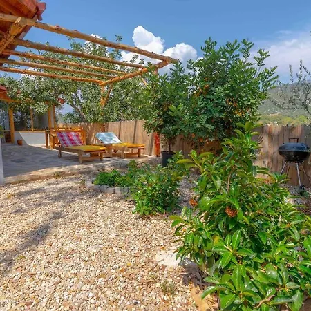 Patara Plaji Ve Patara Antik Kentin Yaninda * Kaş