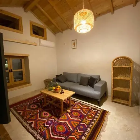 Patara Plaji Ve Patara Antik Kentin Yaninda 卡斯